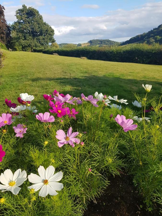 Eastwrey Barton Country House Lustleigh エクステリア 写真